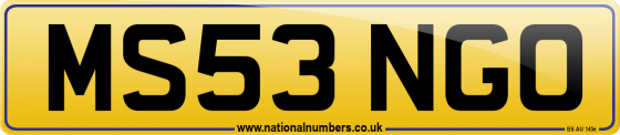 MS53 NGO