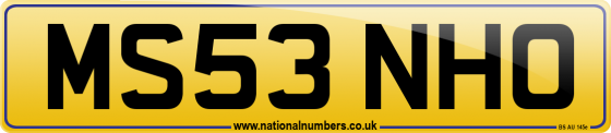 MS53 NHO