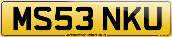 MS53 NKU