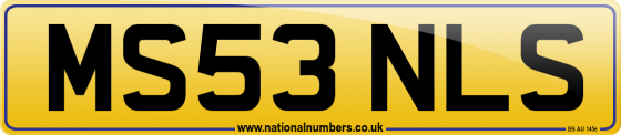 MS53 NLS