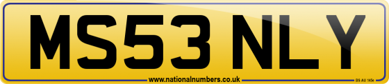MS53 NLY