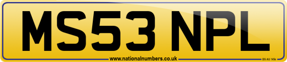 MS53 NPL