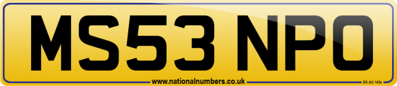 MS53 NPO