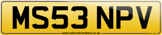 MS53 NPV