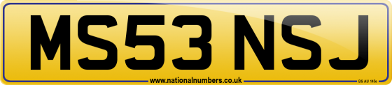 MS53 NSJ