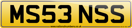 MS53 NSS