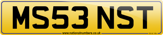 MS53 NST