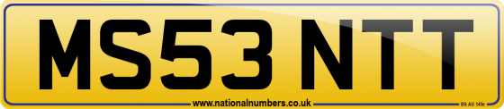 MS53 NTT