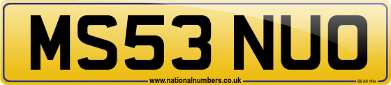 MS53 NUO