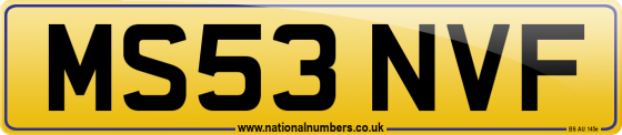 MS53 NVF