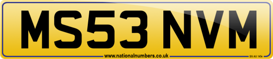 MS53 NVM