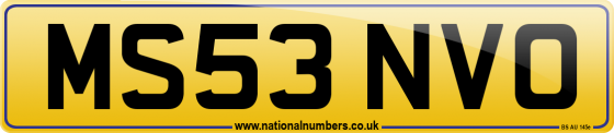 MS53 NVO