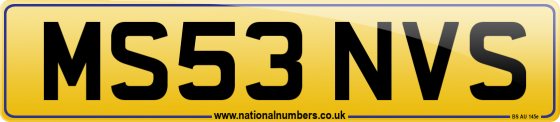MS53 NVS