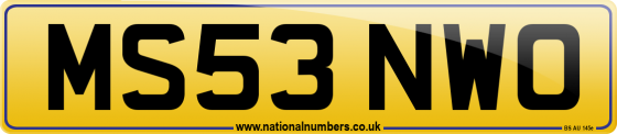 MS53 NWO