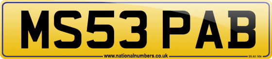 MS53 PAB