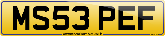 MS53 PEF