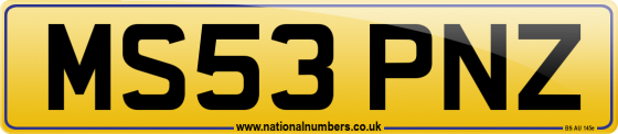 MS53 PNZ
