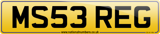 MS53 REG