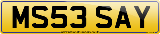 MS53 SAY