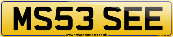 MS53 SEE