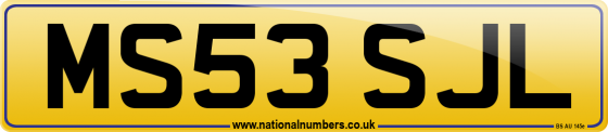 MS53 SJL
