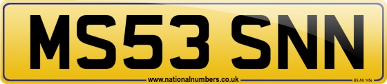 MS53 SNN