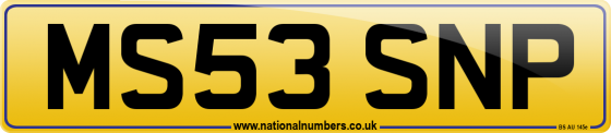 MS53 SNP