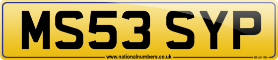MS53 SYP