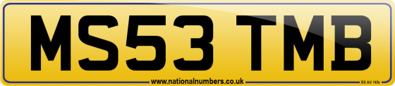 MS53 TMB