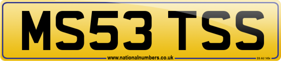 MS53 TSS