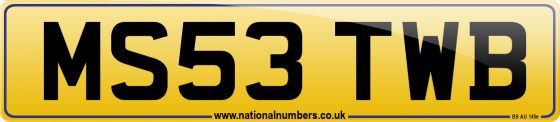 MS53 TWB