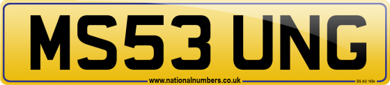 MS53 UNG