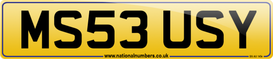 MS53 USY