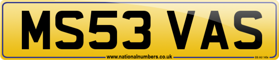 MS53 VAS