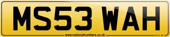 MS53 WAH