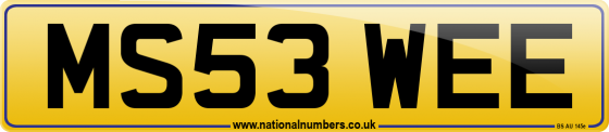 MS53 WEE