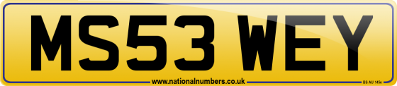 MS53 WEY