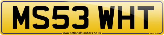 MS53 WHT