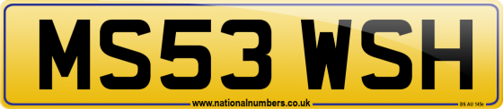 MS53 WSH