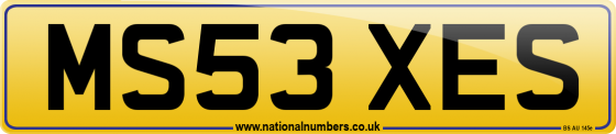 MS53 XES
