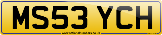 MS53 YCH