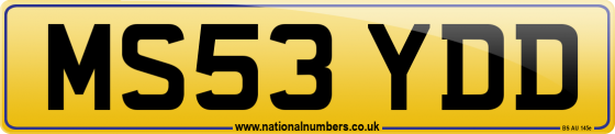 MS53 YDD