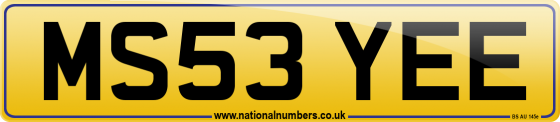 MS53 YEE