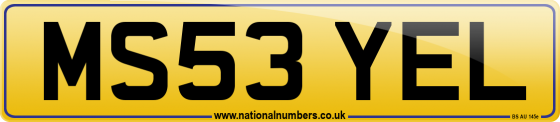 MS53 YEL