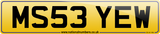 MS53 YEW
