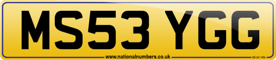 MS53 YGG