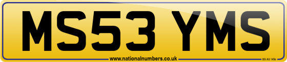 MS53 YMS