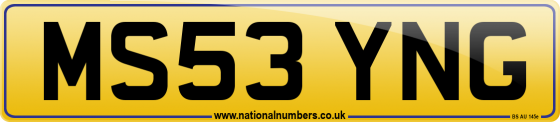 MS53 YNG