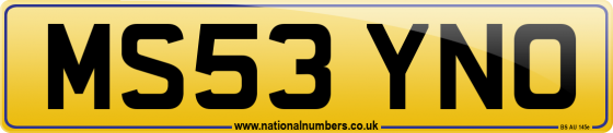 MS53 YNO
