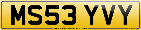 MS53 YVY